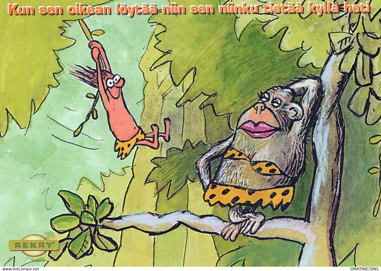 MONO Animales Vintage Tarjeta Postal CPSM #PBS023.ES - Scimmie