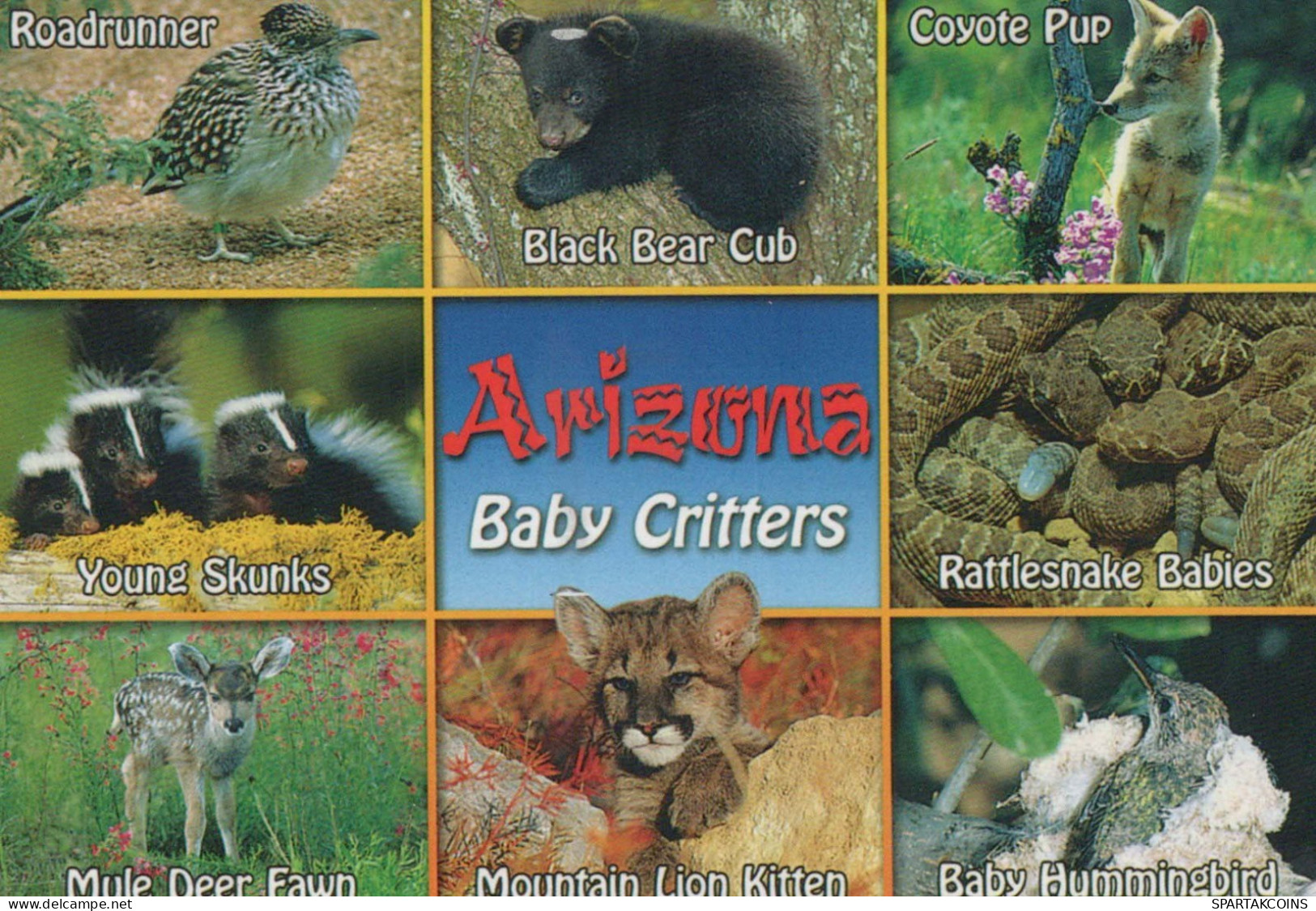 CIERVOS Animales Vintage Tarjeta Postal CPSM #PBS524.ES - Andere & Zonder Classificatie