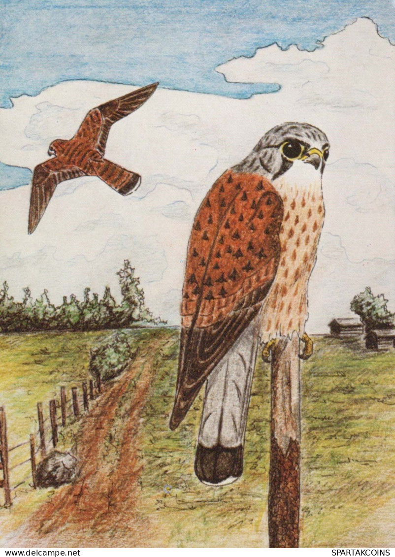 PÁJARO Animales Vintage Tarjeta Postal CPSM #PBR484.ES - Oiseaux