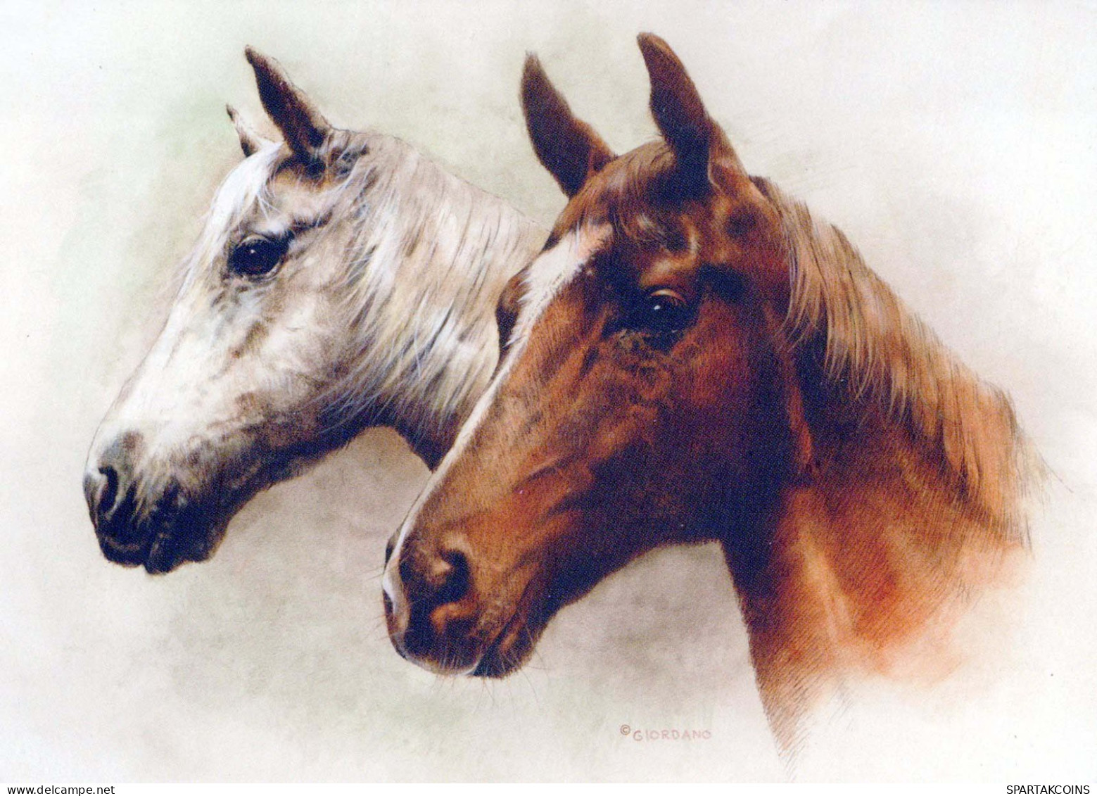 CABALLO Animales Vintage Tarjeta Postal CPSM #PBR867.ES - Pferde