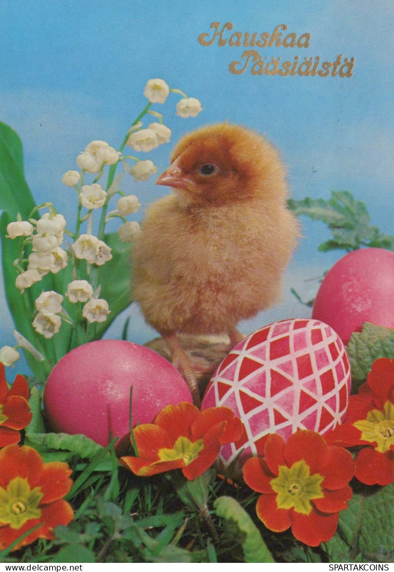 PASCUA POLLO HUEVO Vintage Tarjeta Postal CPSM #PBP102.ES - Easter