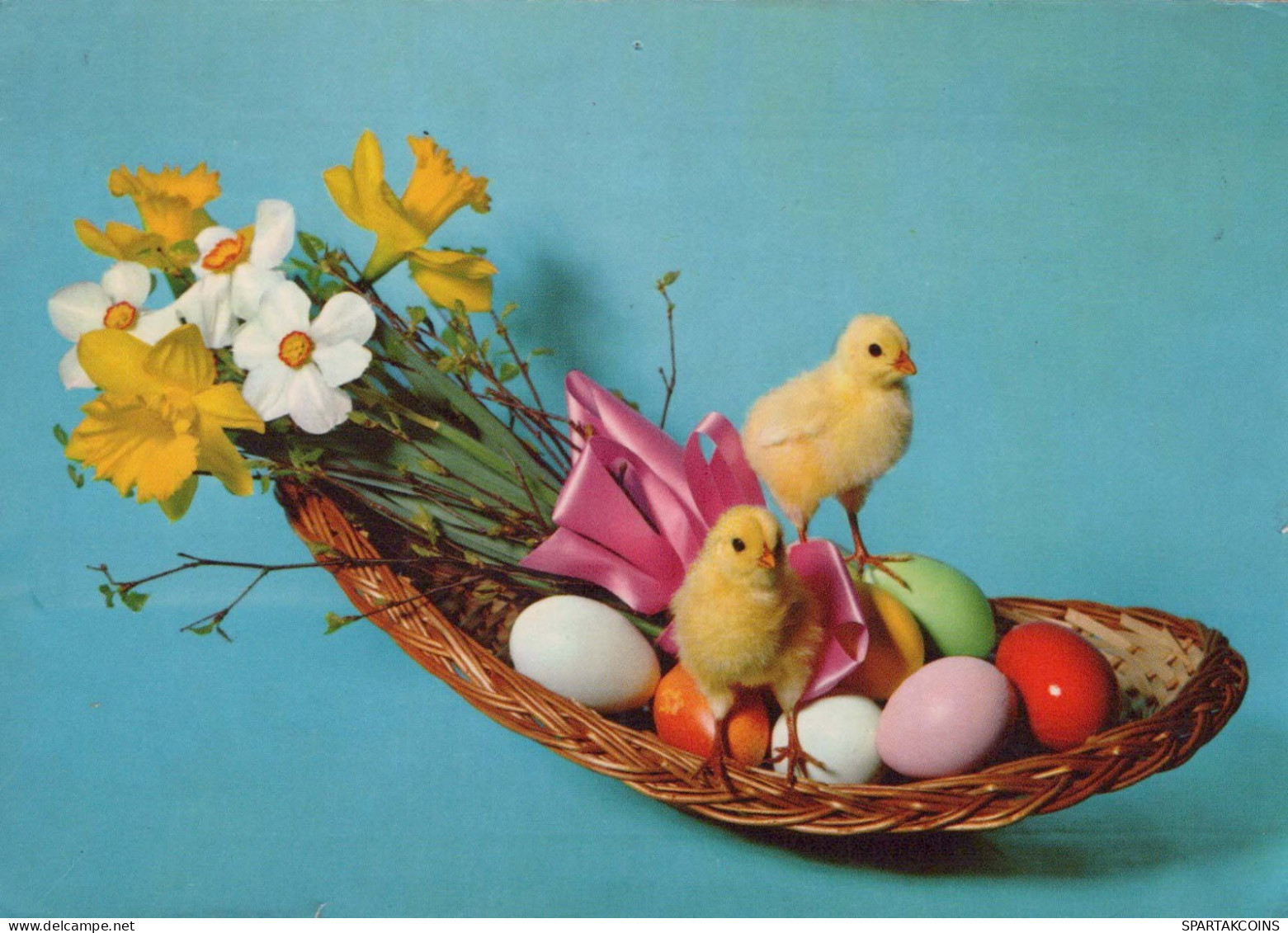 PASCUA POLLO HUEVO Vintage Tarjeta Postal CPSM #PBO911.ES - Pâques