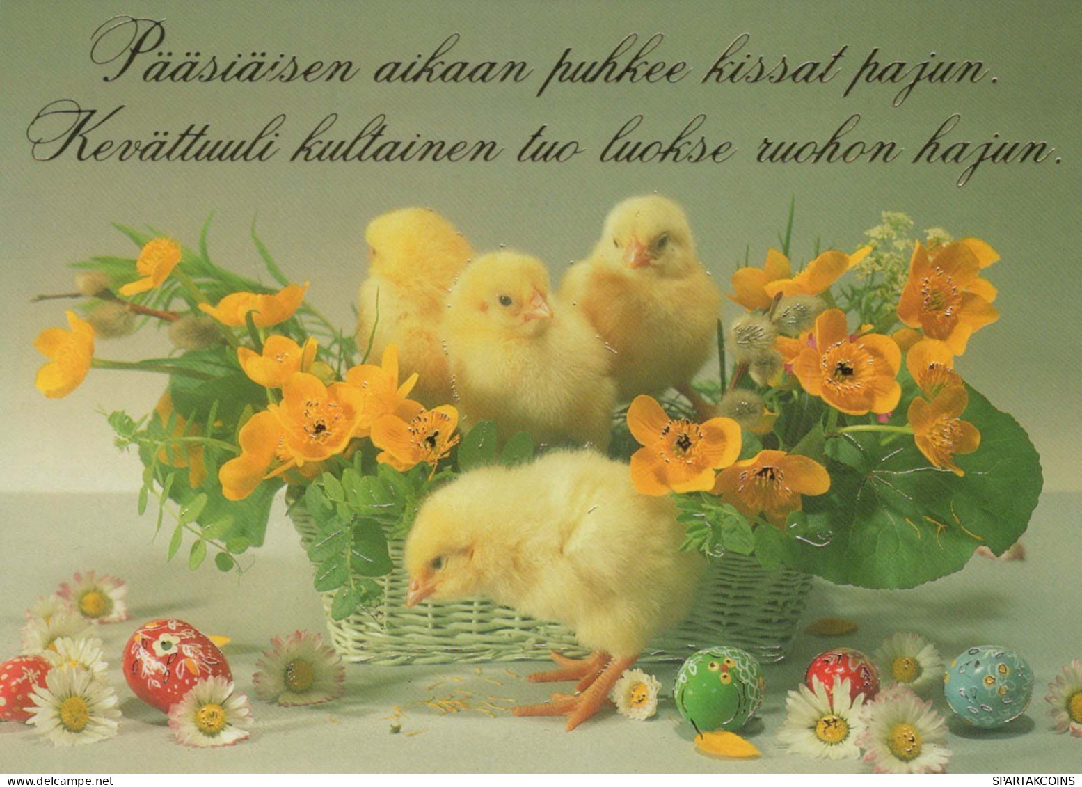 PASCUA POLLO Vintage Tarjeta Postal CPSM #PBO973.ES - Easter