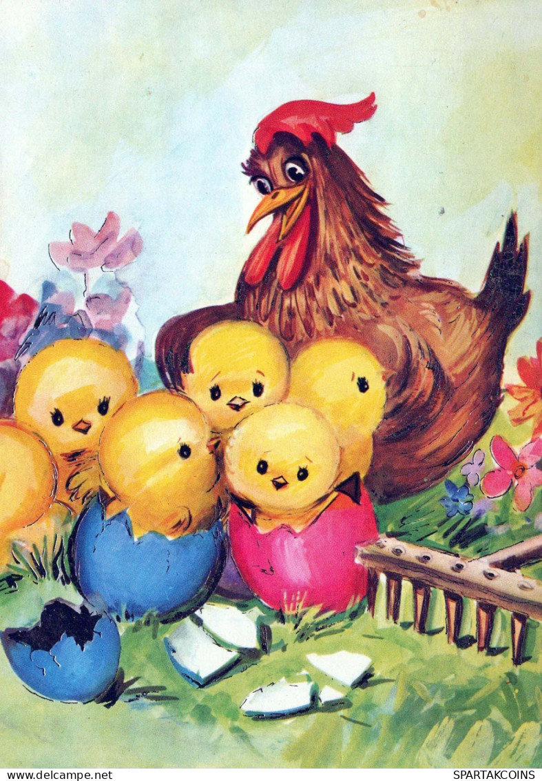 PASCUA POLLO HUEVO Vintage Tarjeta Postal CPSM #PBO784.ES - Easter