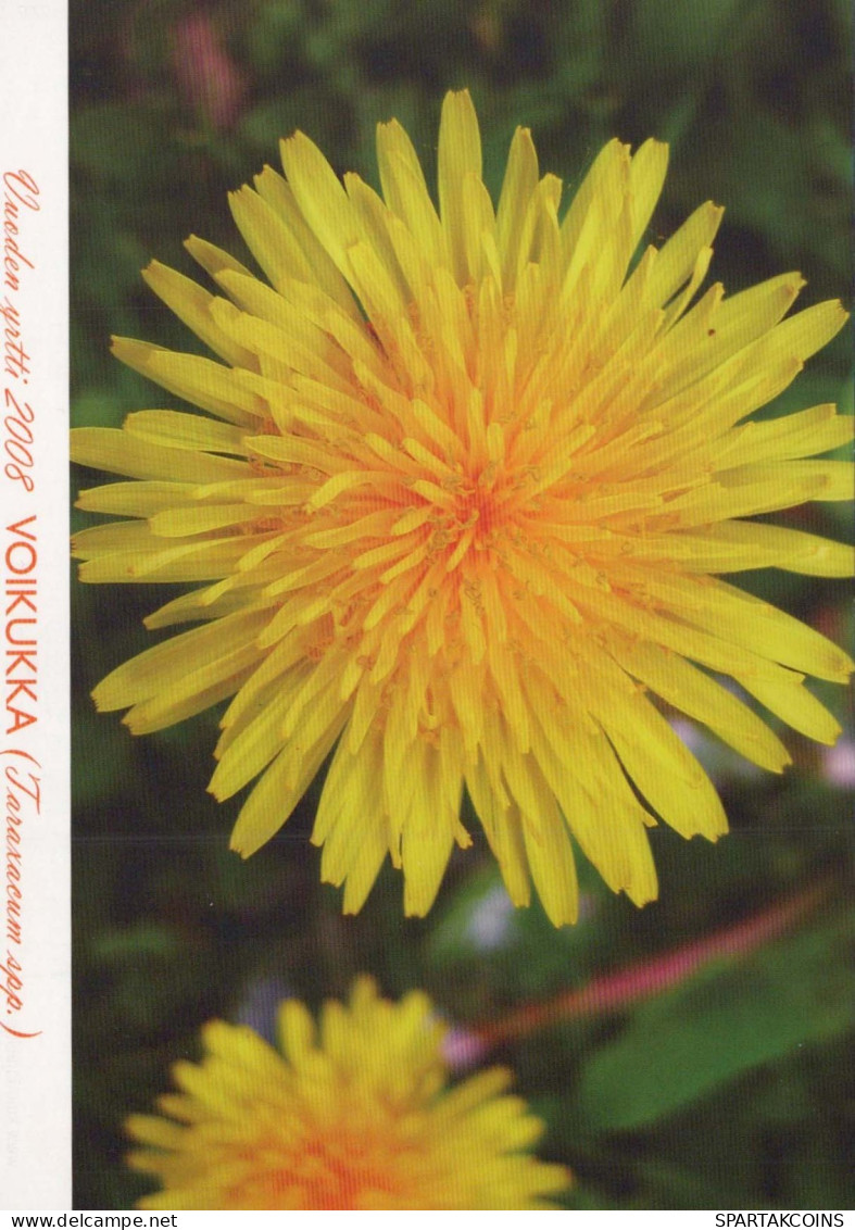 FLOWERS Vintage Ansichtskarte Postkarte CPSM #PAS510.DE - Flowers