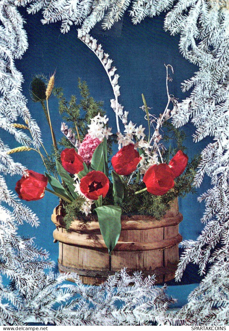 FLOWERS Vintage Ansichtskarte Postkarte CPSM #PAS390.DE - Flowers