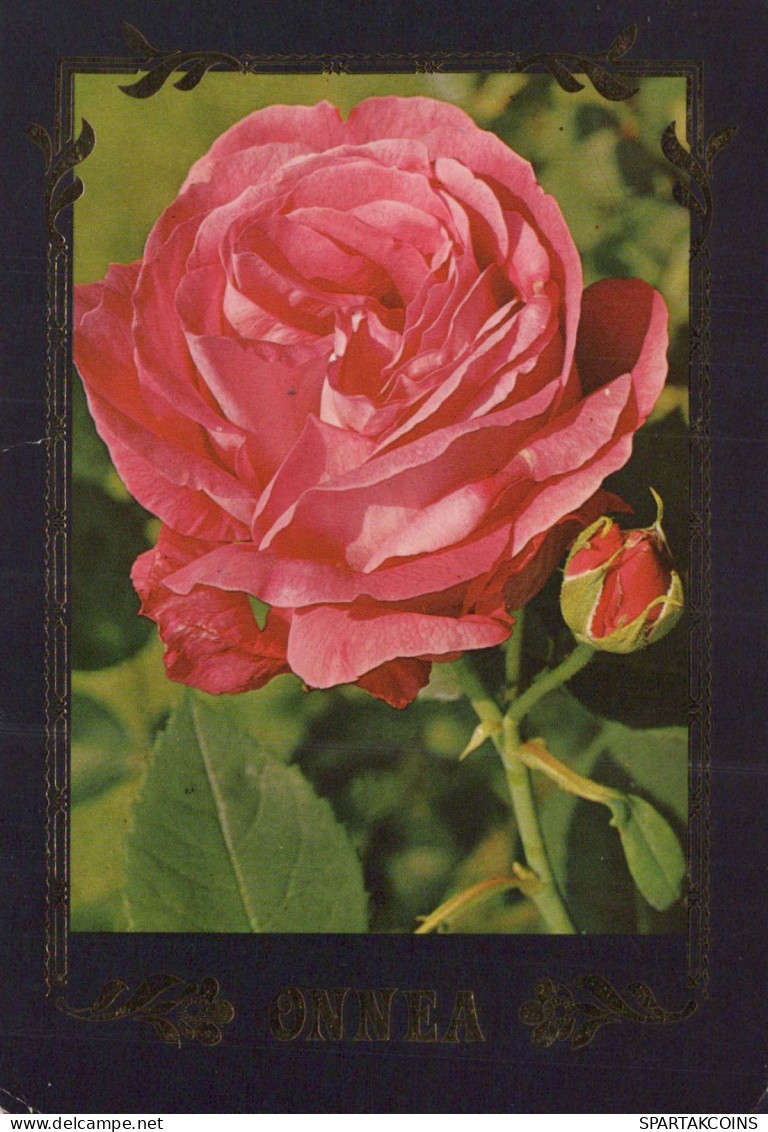 FLOWERS Vintage Ansichtskarte Postkarte CPSM #PAS330.DE - Flowers