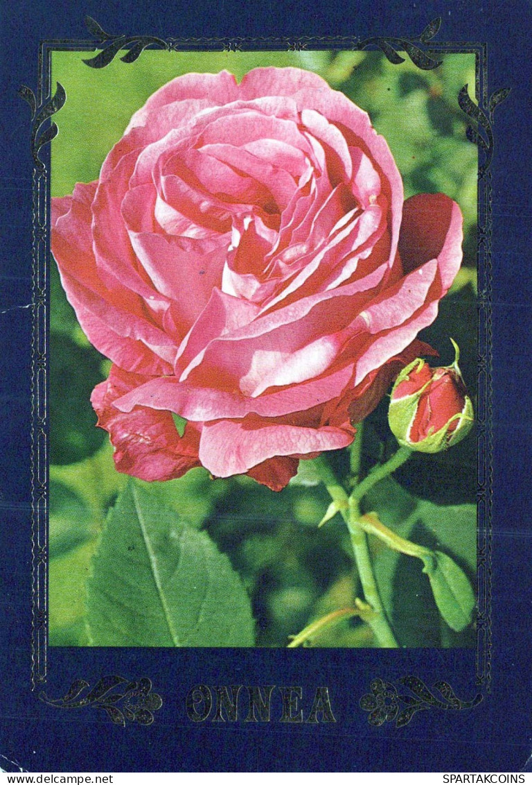 FLOWERS Vintage Ansichtskarte Postkarte CPSM #PAS330.DE - Flowers