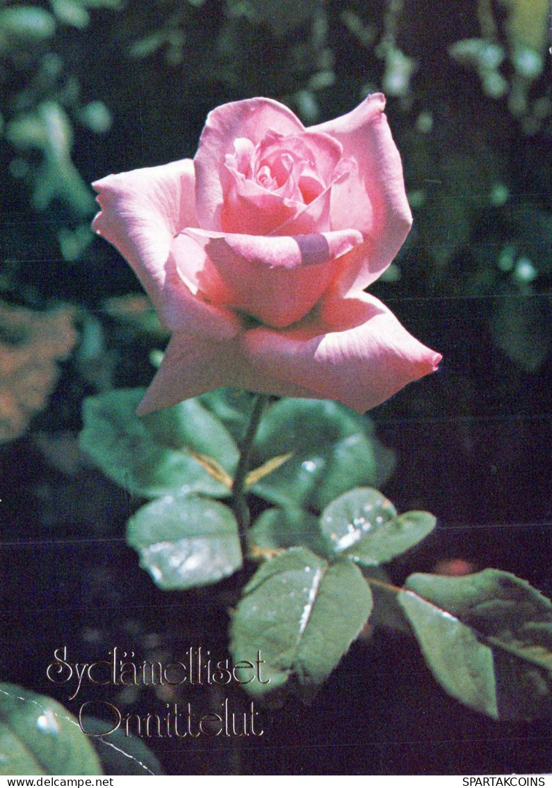 FLOWERS Vintage Ansichtskarte Postkarte CPSM #PAS270.DE - Flowers