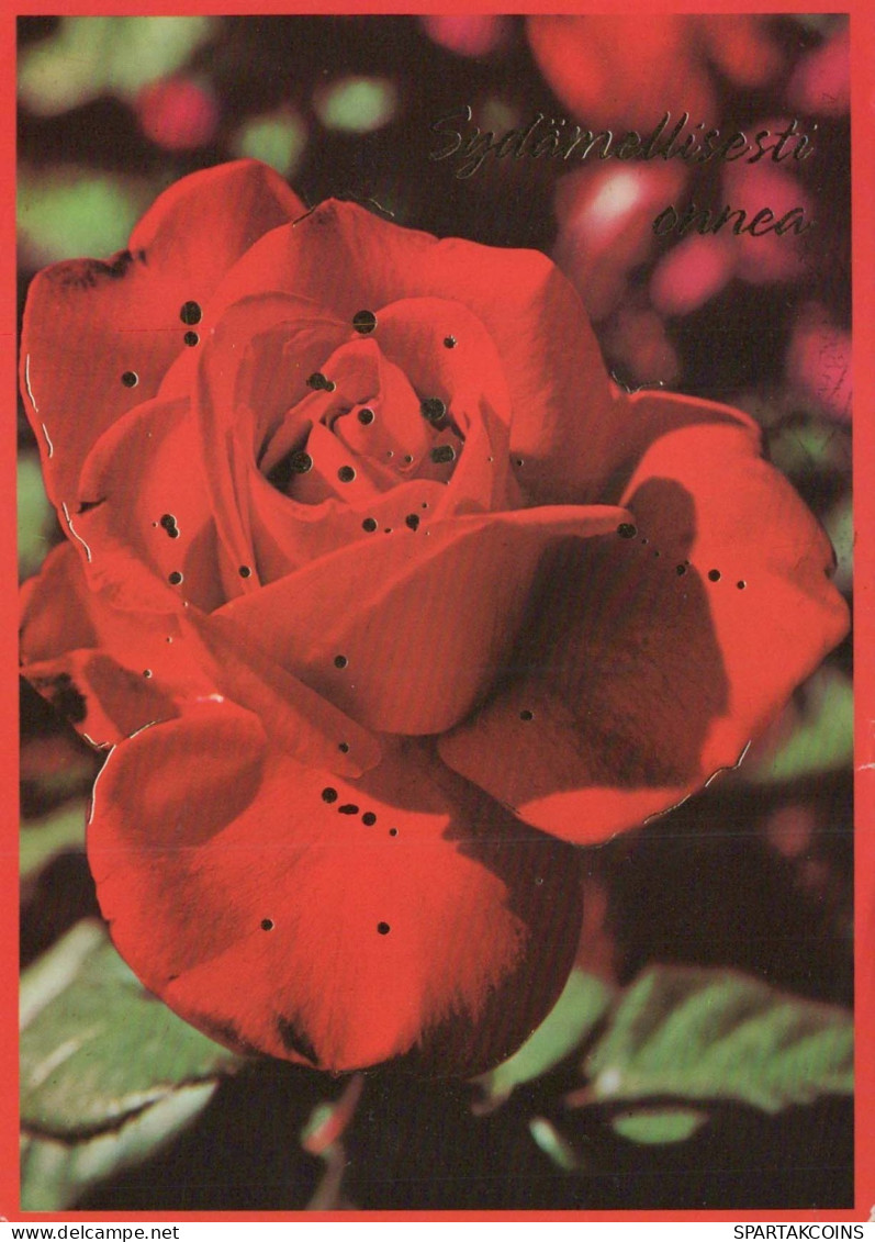 FLOWERS Vintage Ansichtskarte Postkarte CPSM #PAS210.DE - Flowers