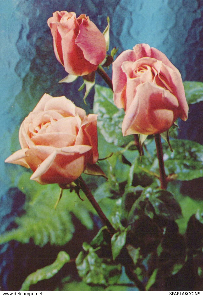 FLOWERS Vintage Ansichtskarte Postkarte CPSM #PAR969.DE - Flowers