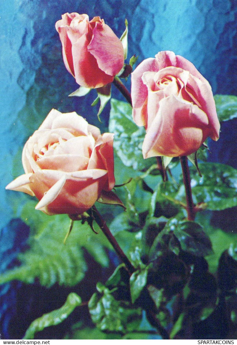 FLOWERS Vintage Ansichtskarte Postkarte CPSM #PAR969.DE - Flowers
