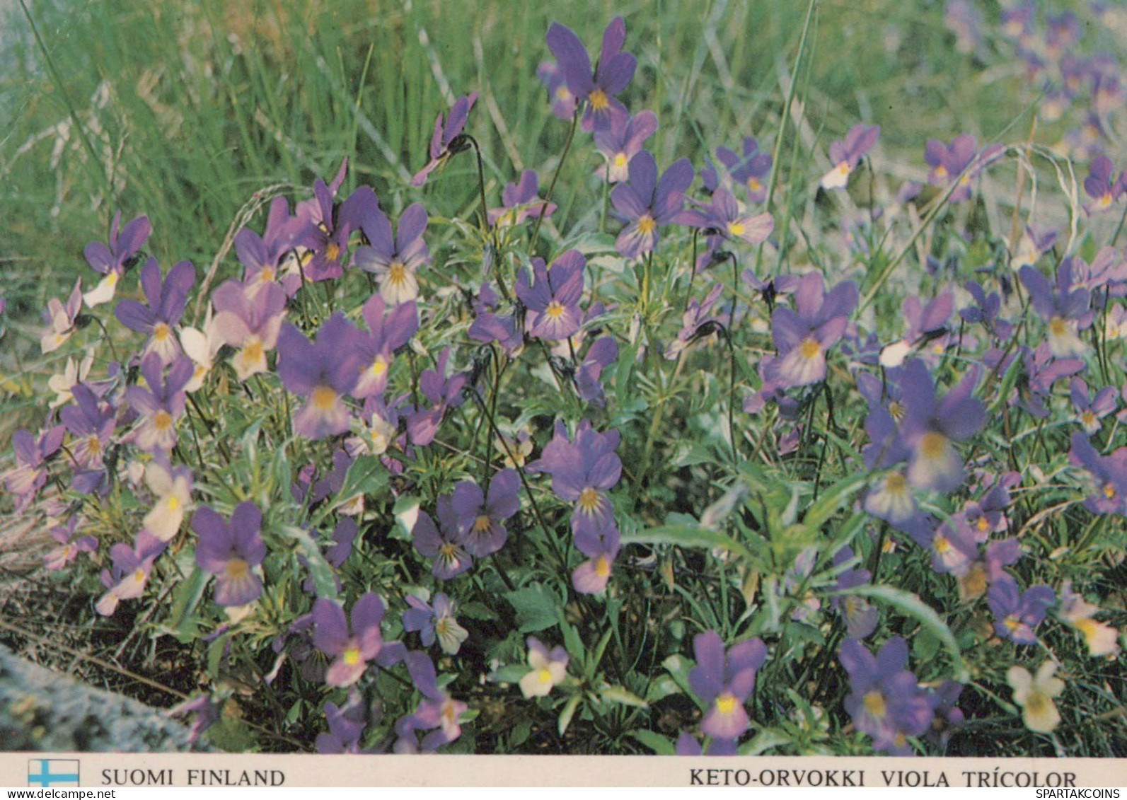 FLOWERS Vintage Ansichtskarte Postkarte CPSM #PAR007.DE - Flowers