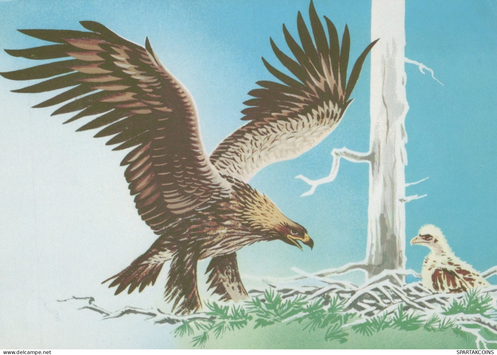 VOGEL Tier Vintage Ansichtskarte Postkarte CPSM Unposted #PAM673.DE - Pájaros