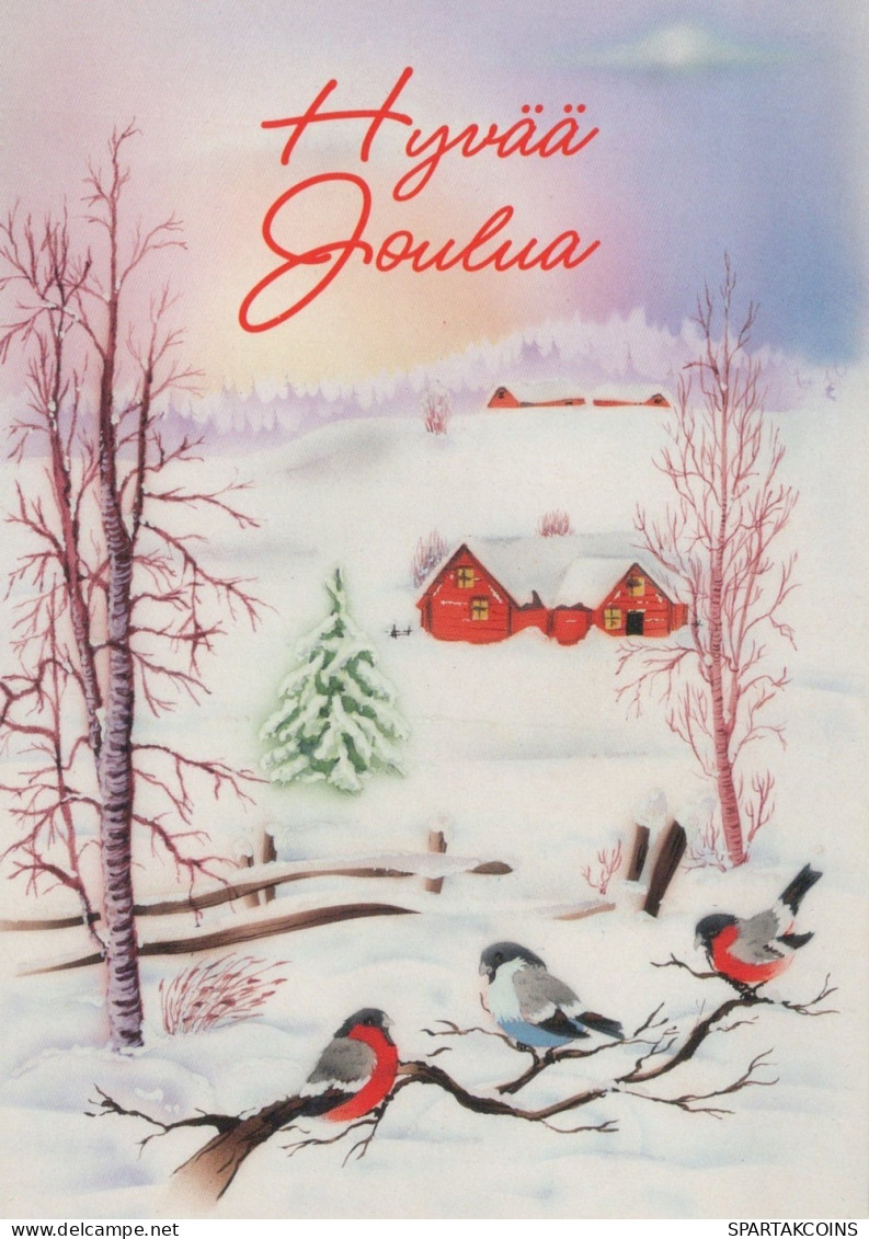 VOGEL Tier Vintage Ansichtskarte Postkarte CPSM #PAM860.DE - Birds