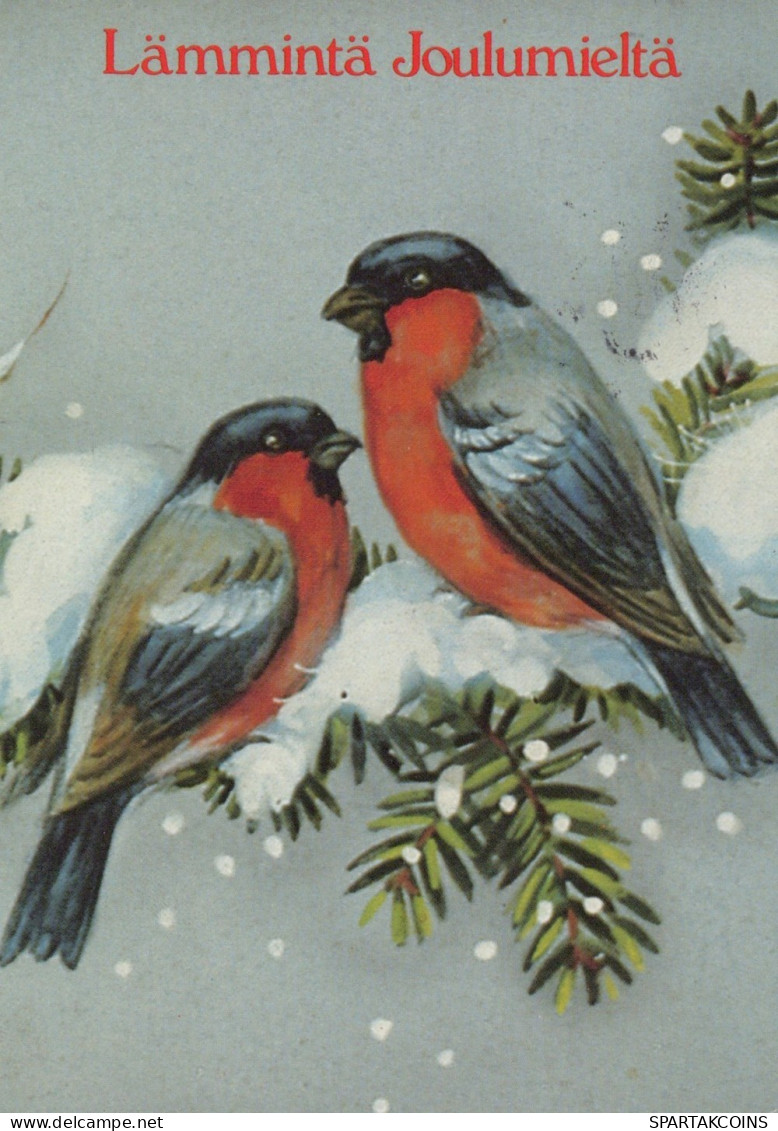 VOGEL Tier Vintage Ansichtskarte Postkarte CPSM #PAM923.DE - Vögel