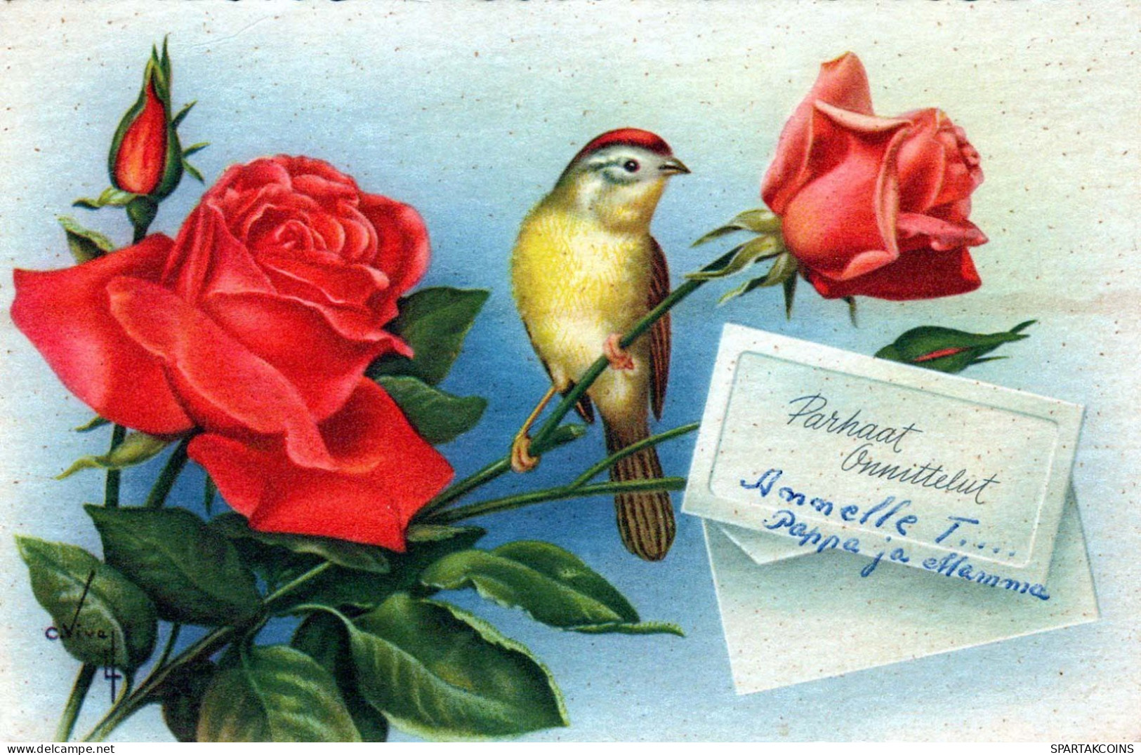 FLEURS Vintage Carte Postale CPSMPF #PKG094.FR - Flowers
