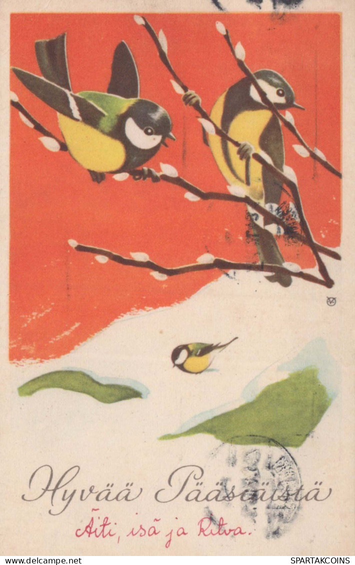 PÂQUES OISEAU Vintage Carte Postale CPA #PKE297.FR - Pascua