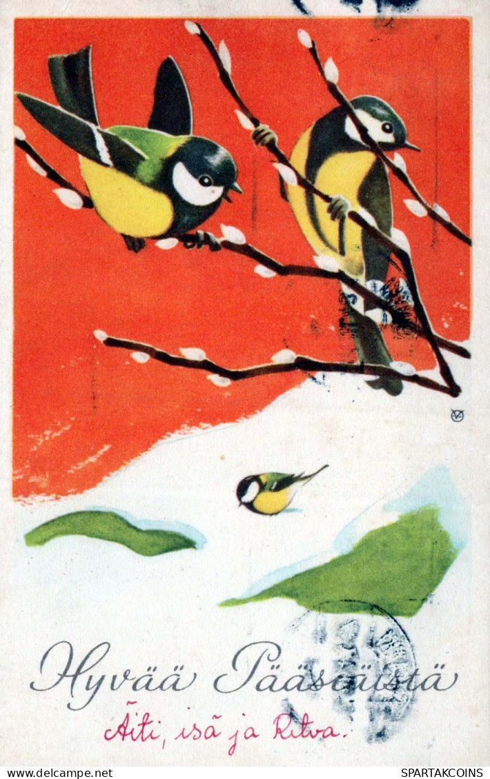 PÂQUES OISEAU Vintage Carte Postale CPA #PKE297.FR - Pascua