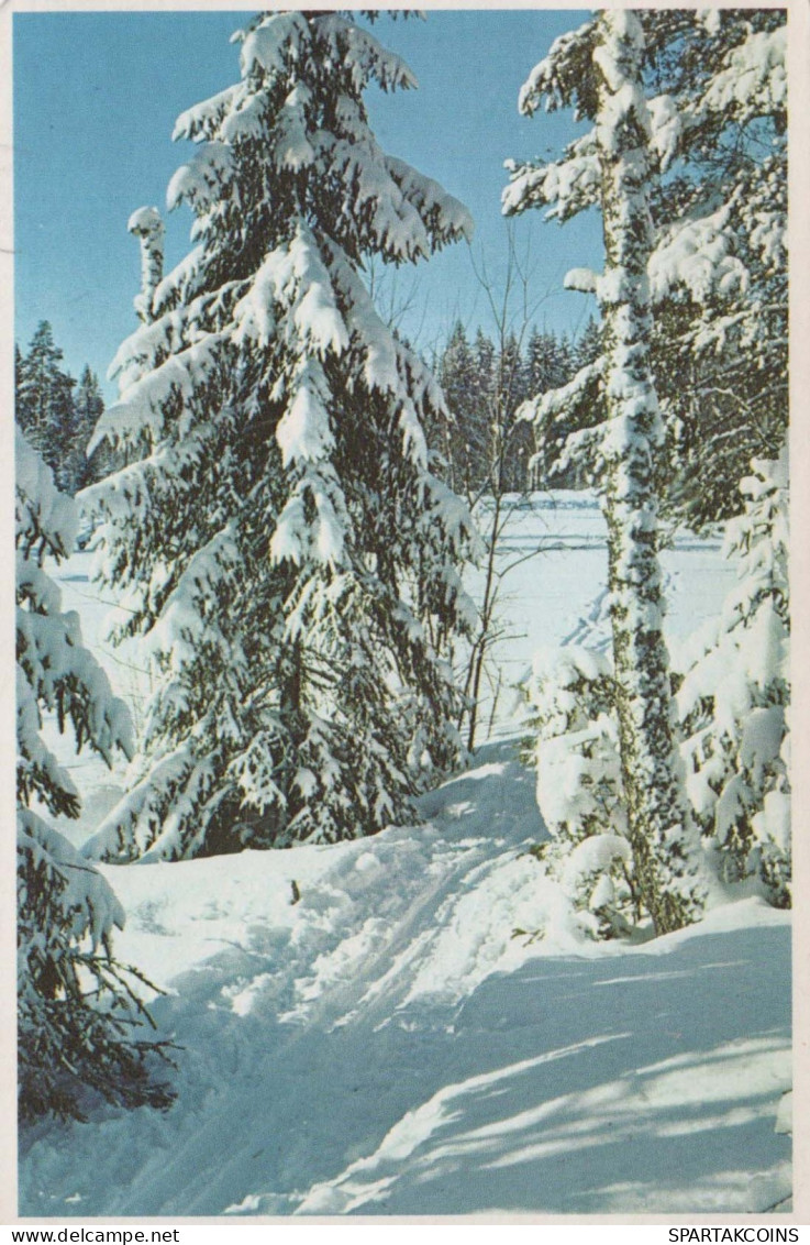 Bonne Année Noël Vintage Carte Postale CPSMPF #PKG215.FR - Nouvel An