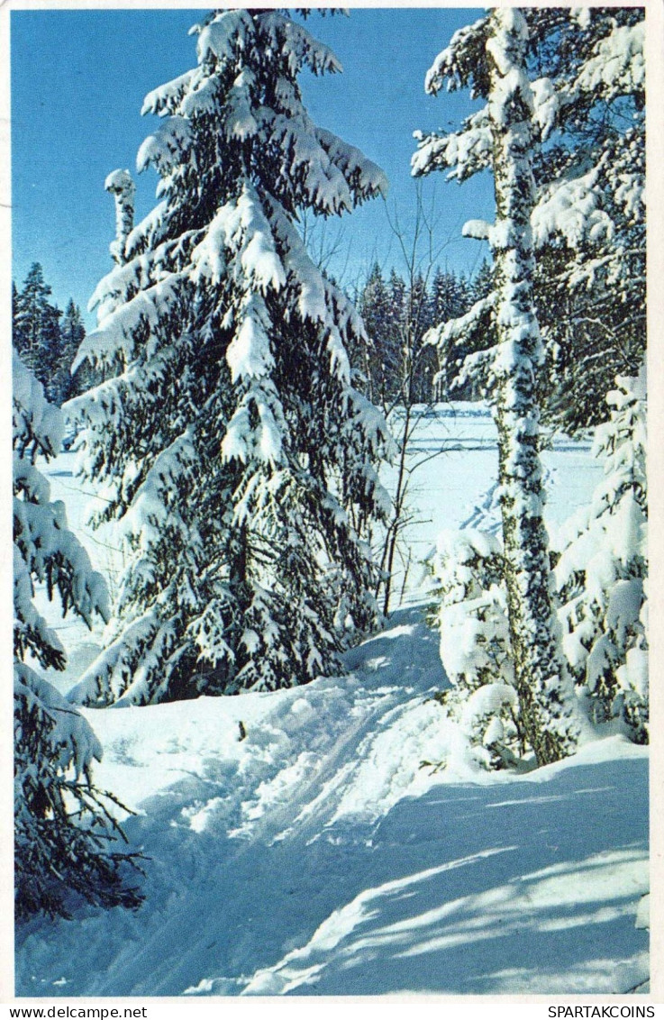 Bonne Année Noël Vintage Carte Postale CPSMPF #PKG215.FR - Nouvel An