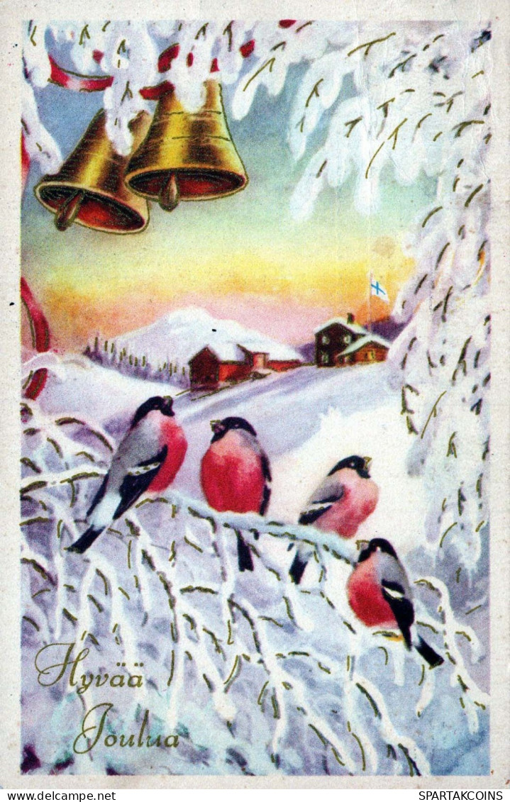 Bonne Année Noël OISEAU Vintage Carte Postale CPA #PKE859.FR - Nouvel An