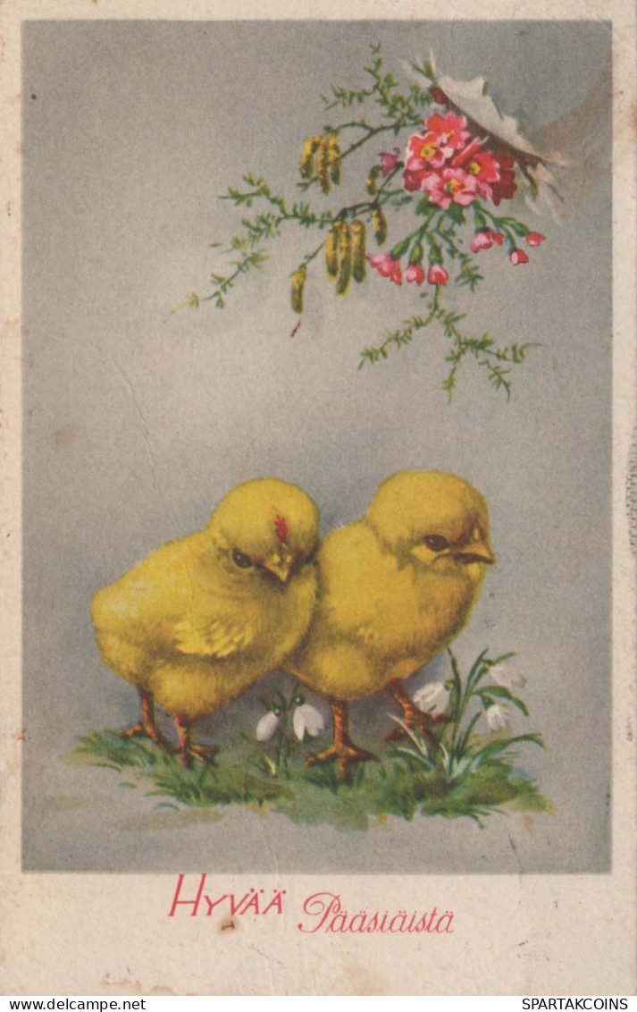 PÂQUES POULET ŒUF Vintage Carte Postale CPA #PKE106.FR - Pâques