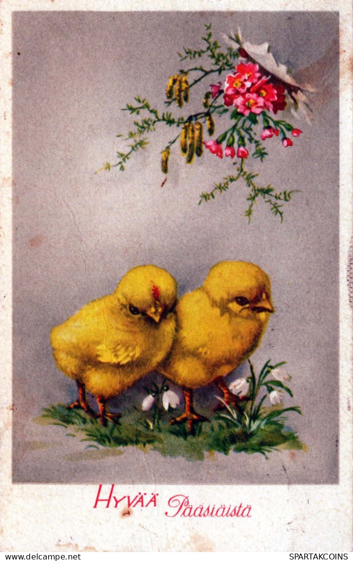 PÂQUES POULET ŒUF Vintage Carte Postale CPA #PKE106.FR - Easter