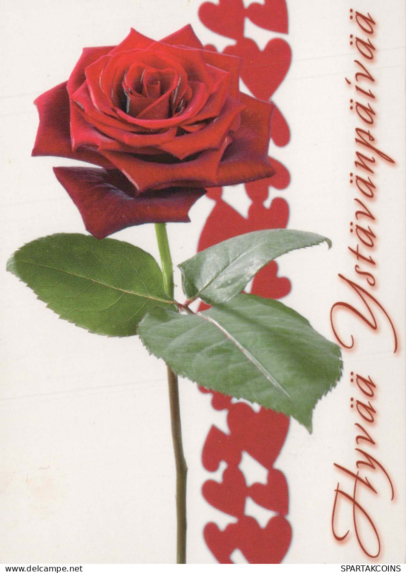 FLEURS Vintage Carte Postale CPSM #PBZ860.FR - Flowers