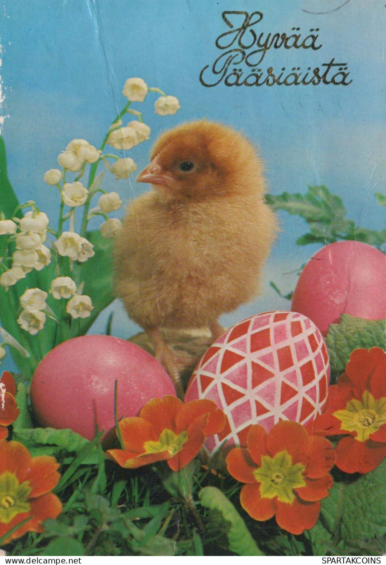 PÂQUES POULET ŒUF Vintage Carte Postale CPSM #PBP103.FR - Pâques