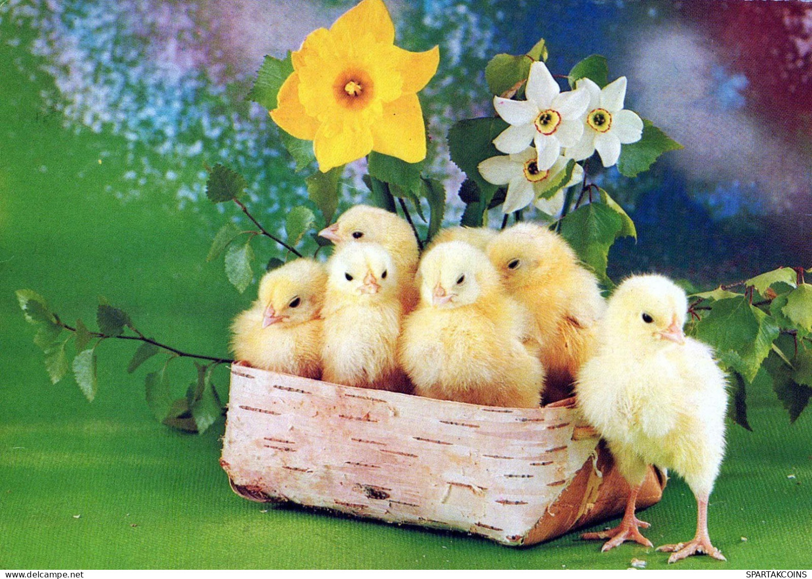 PÂQUES POULET Vintage Carte Postale CPSM #PBO974.FR - Easter