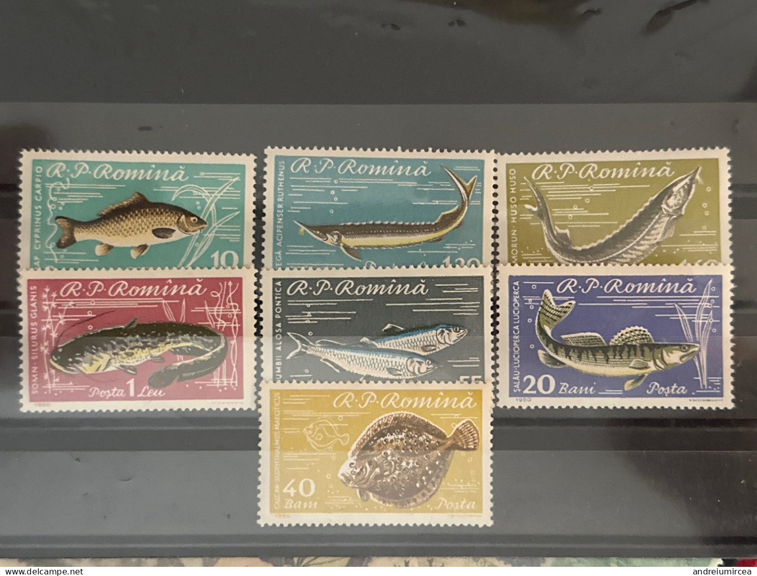 1960 România MNH - Fische