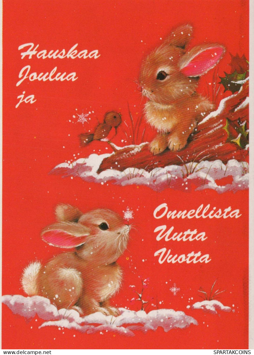 Buon Anno Natale CONIGLIO Vintage Cartolina CPSM #PAV261.IT - Nouvel An