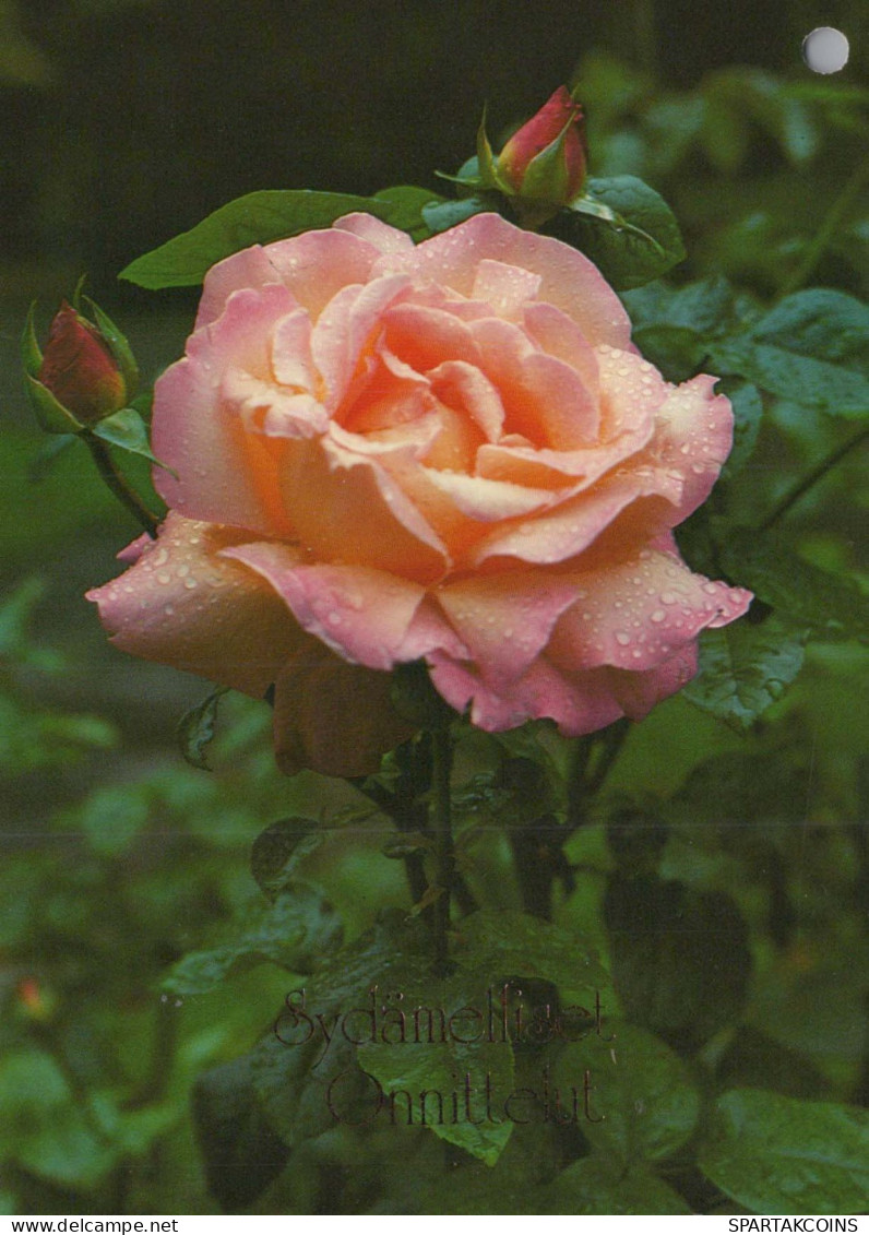 FIORI Vintage Cartolina CPSM #PAS271.IT - Flowers