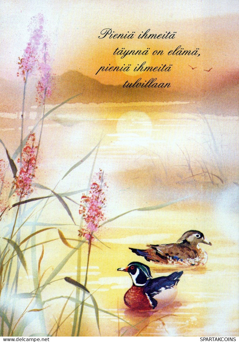 UCCELLO Animale Vintage Cartolina CPSM #PAN170.IT - Oiseaux