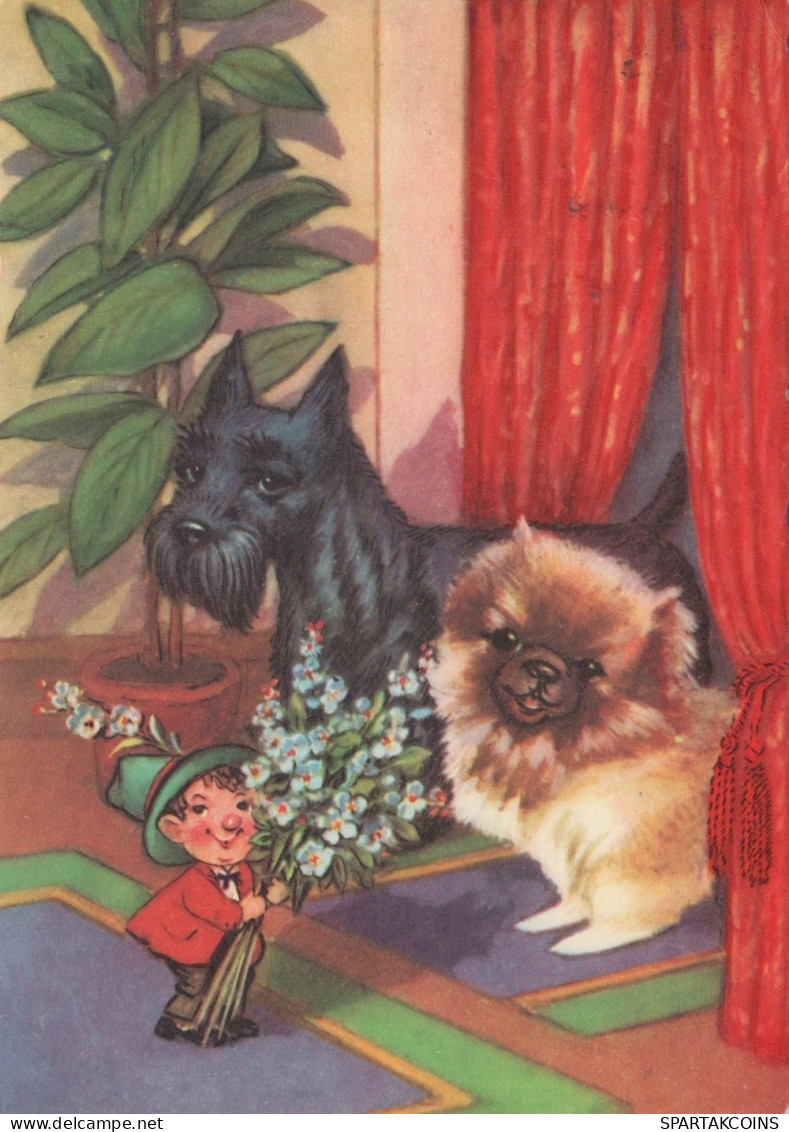 CANE Animale Vintage Cartolina CPSM #PAN745.IT - Hunde