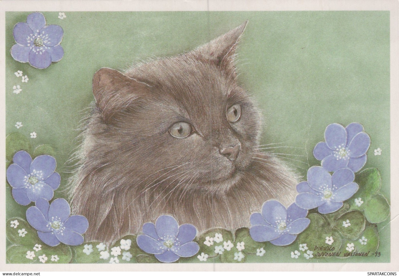 GATTO KITTY Animale Vintage Cartolina CPSM #PAM357.IT - Gatti