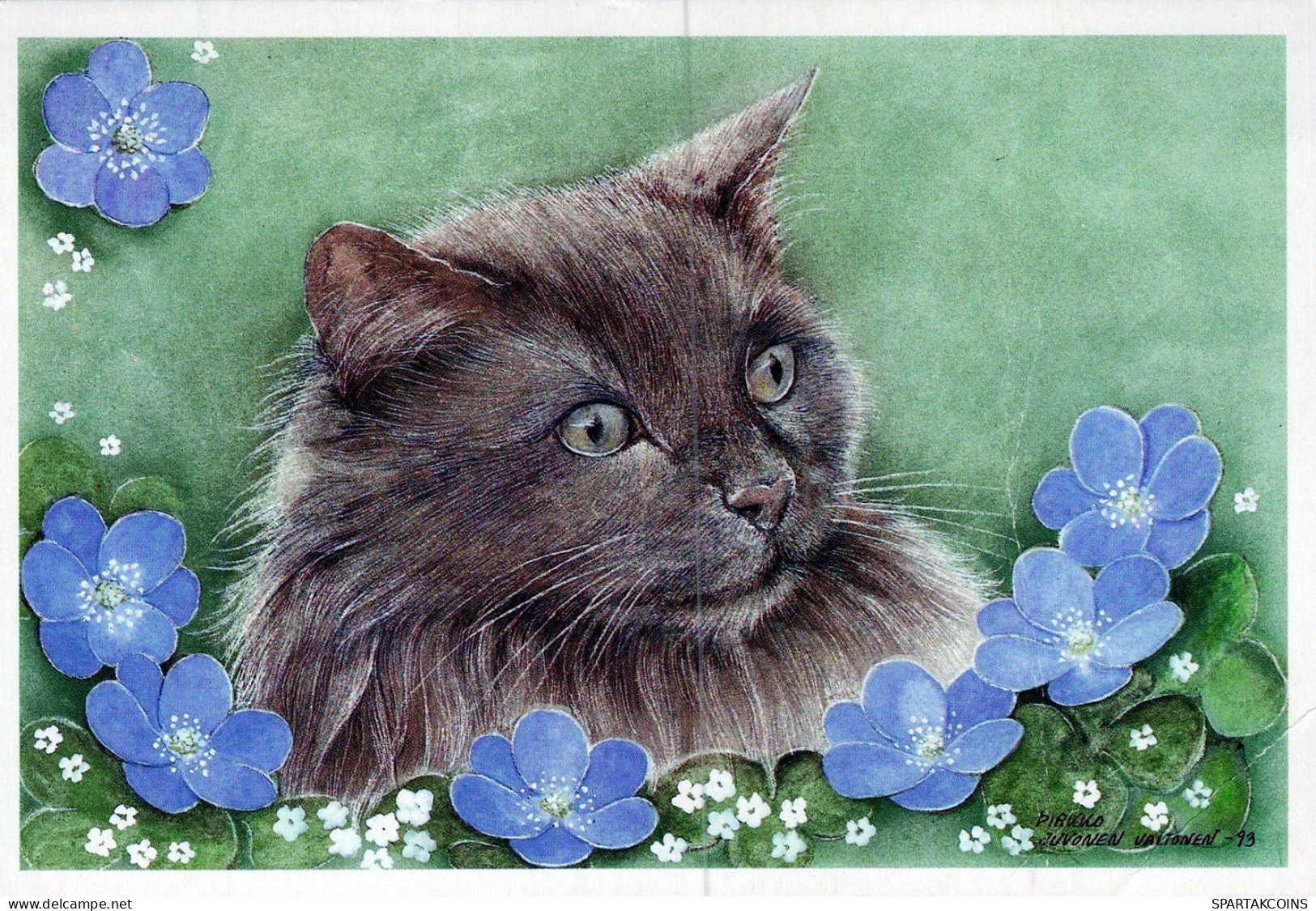 GATTO KITTY Animale Vintage Cartolina CPSM #PAM357.IT - Gatti