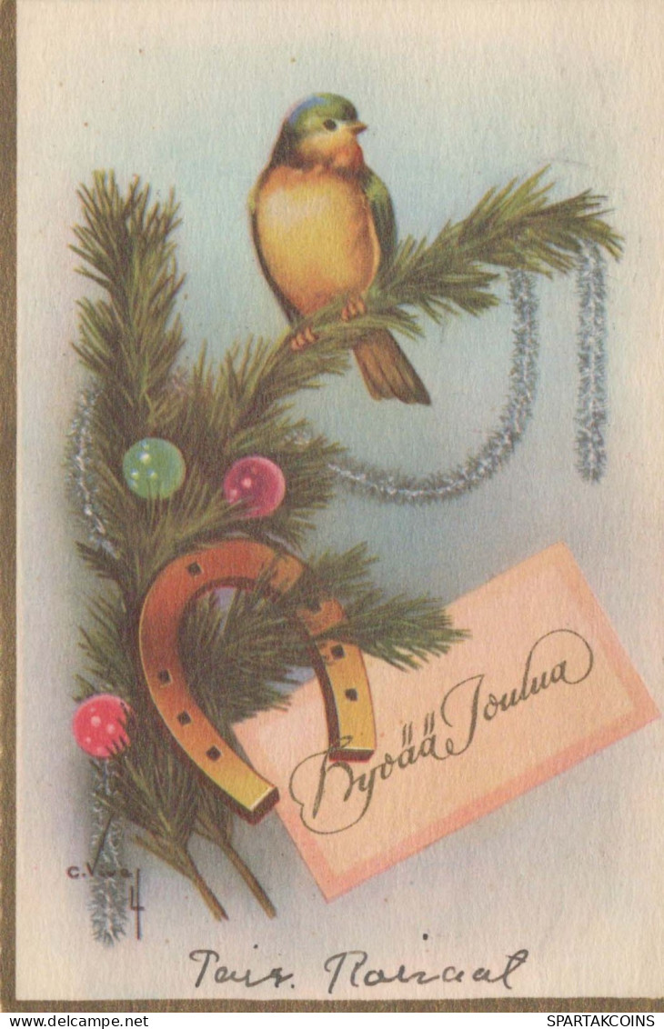 VOGEL Vintage Ansichtskarte Postkarte CPSMPF #PKG972.DE - Vogels