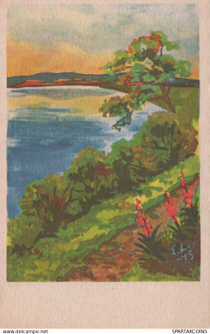 FLOWERS Vintage Ansichtskarte Postkarte CPSMPF #PKG035.DE - Blumen