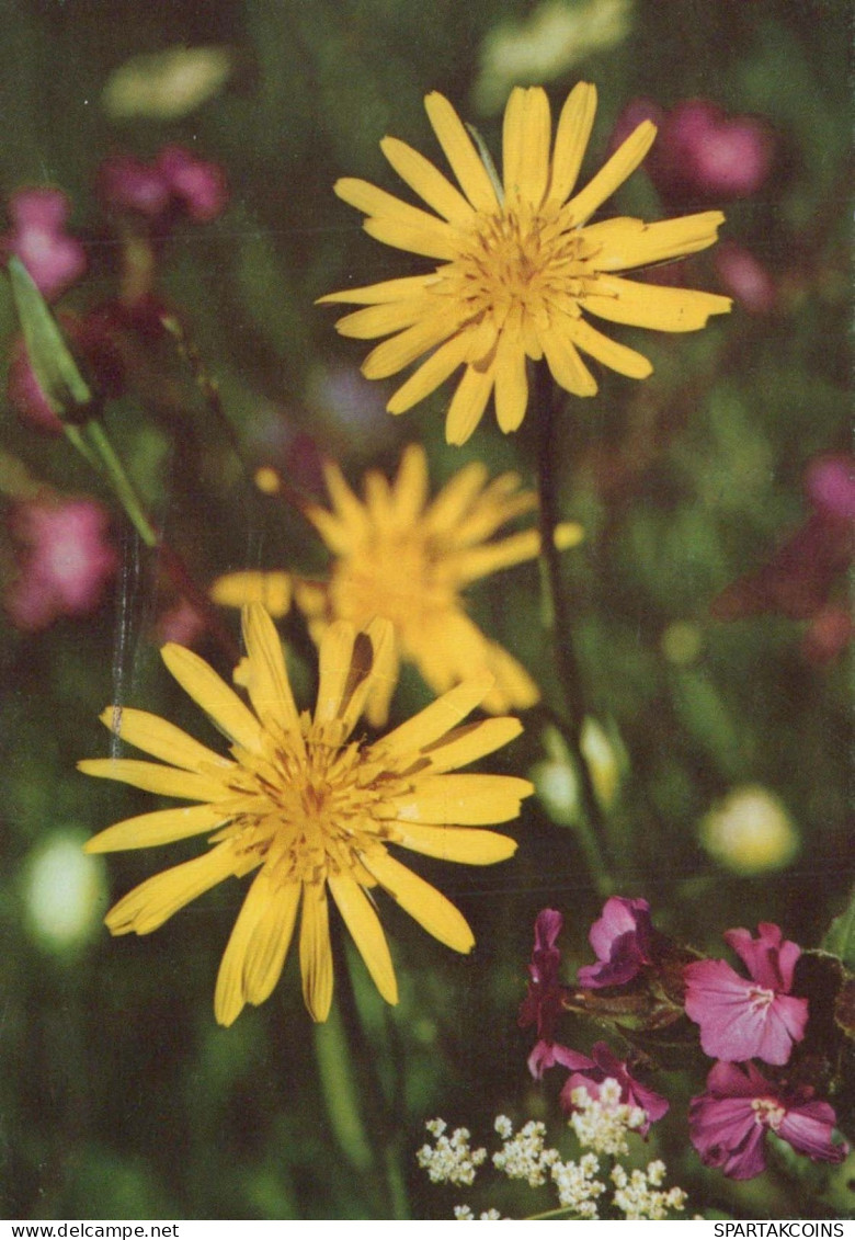 FLOWERS Vintage Ansichtskarte Postkarte CPSM #PBZ921.DE - Fleurs