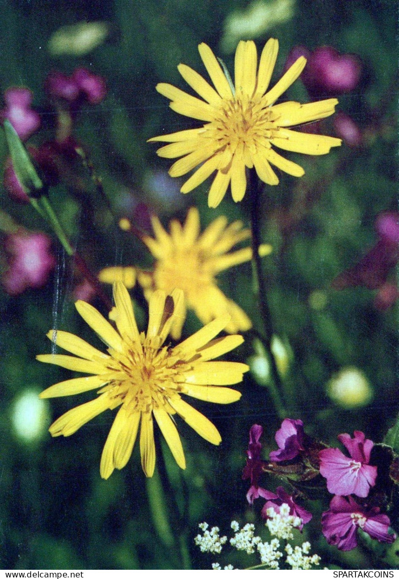 FLOWERS Vintage Ansichtskarte Postkarte CPSM #PBZ921.DE - Blumen