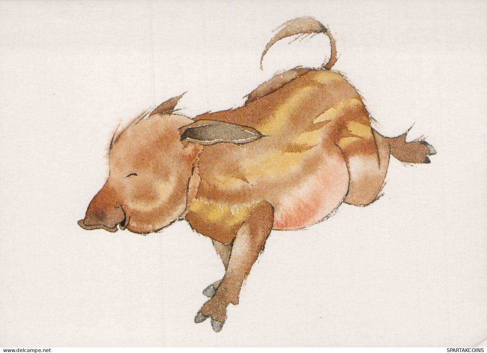 PIGS Tier Vintage Ansichtskarte Postkarte CPSM #PBR740.DE - Schweine
