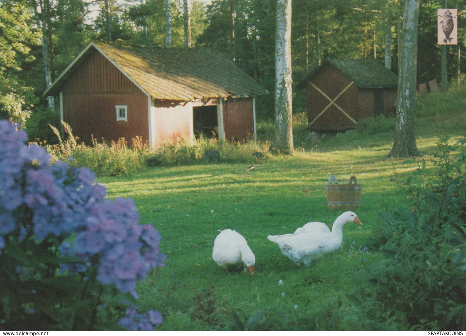 VOGEL Tier Vintage Ansichtskarte Postkarte CPSM #PBR424.DE - Vogels