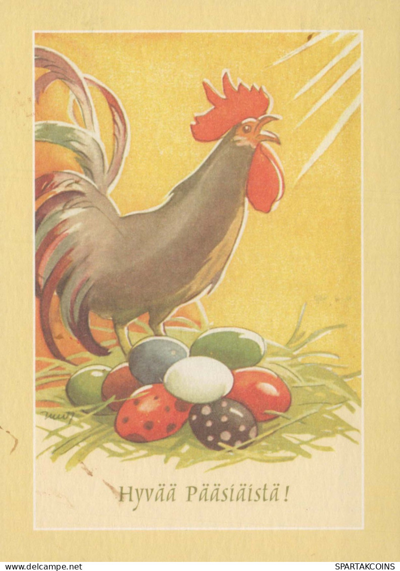 VOGEL Tier Vintage Ansichtskarte Postkarte CPSM #PBR612.DE - Vögel