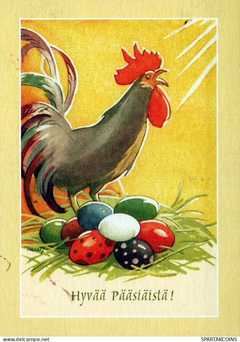 VOGEL Tier Vintage Ansichtskarte Postkarte CPSM #PBR612.DE - Pájaros