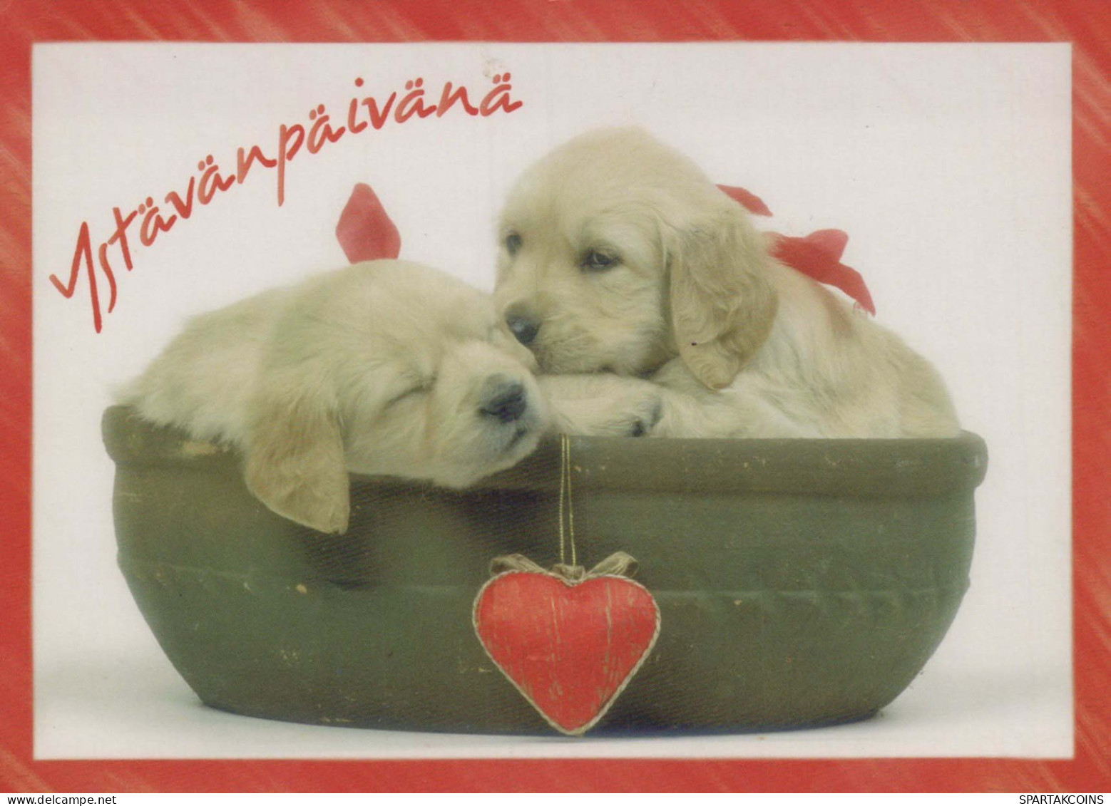 HUND Tier Vintage Ansichtskarte Postkarte CPSM #PBQ440.DE - Chiens