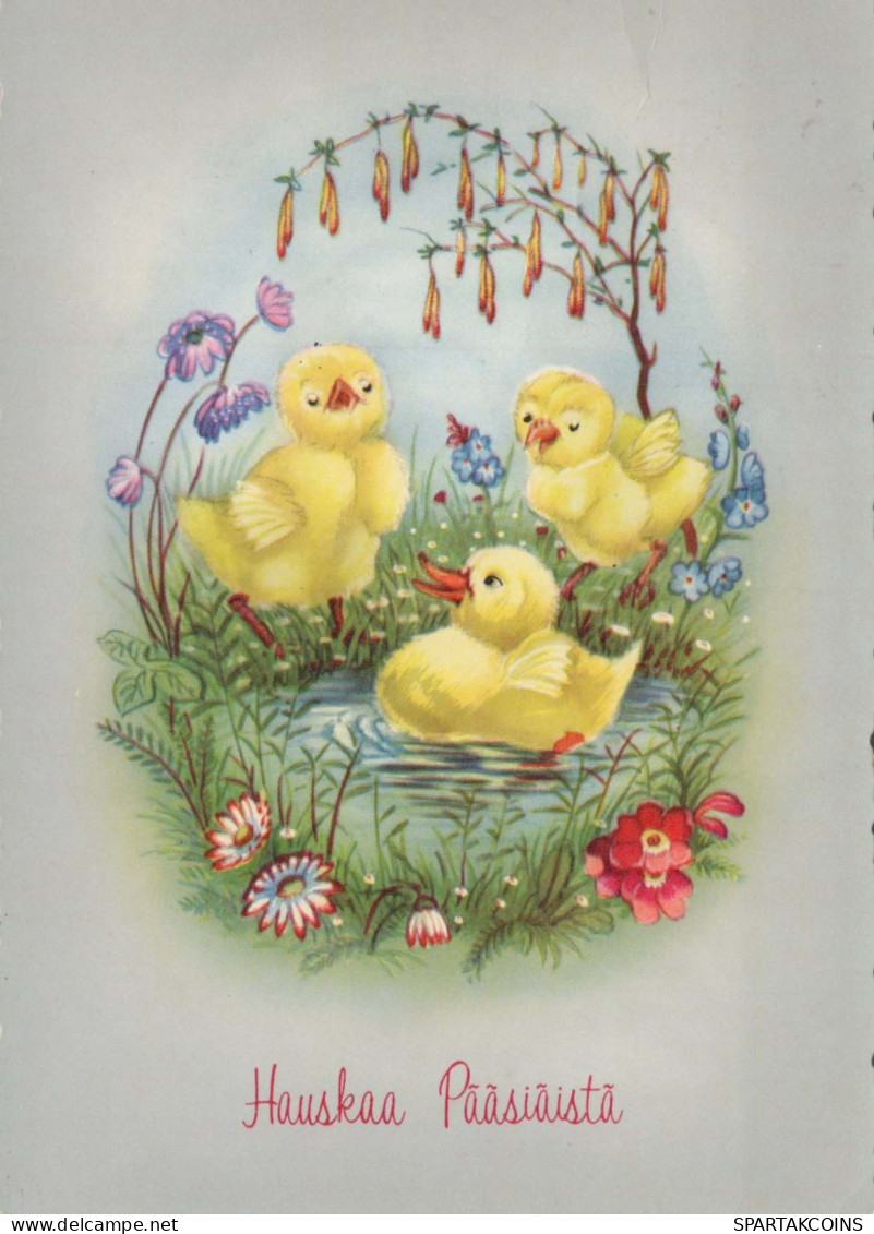 OSTERN HUHN EI Vintage Ansichtskarte Postkarte CPSM #PBO601.DE - Pascua