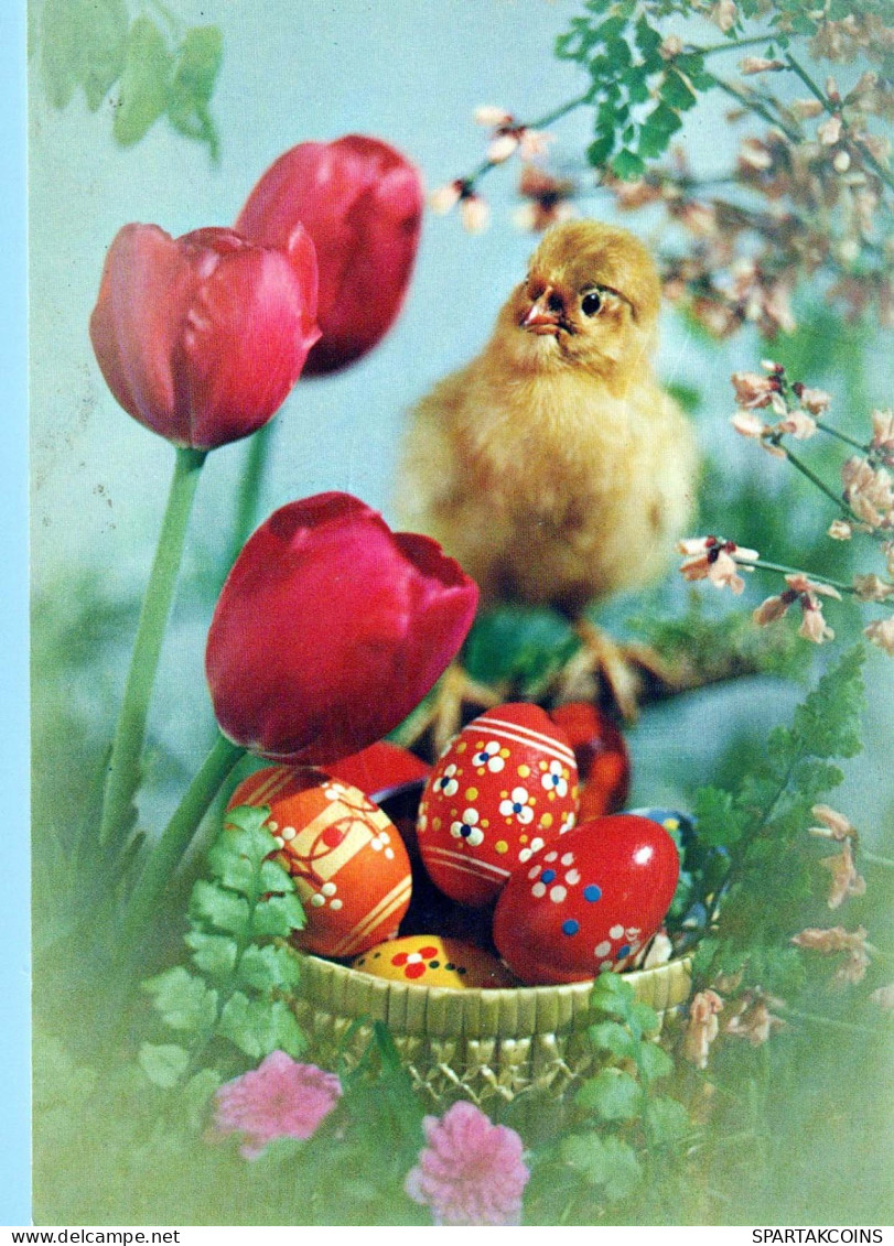 OSTERN HUHN EI Vintage Ansichtskarte Postkarte CPSM #PBP104.DE - Easter