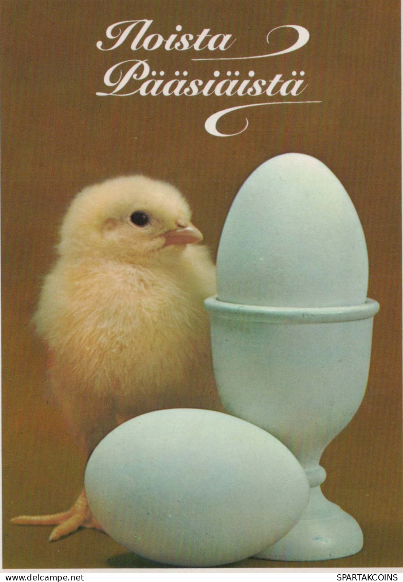 OSTERN HUHN EI Vintage Ansichtskarte Postkarte CPSM #PBP043.DE - Pâques